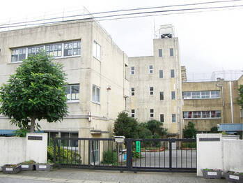 apartment 千葉県柏市南柏中央６－３Ｓ５０９ＫＩＮＧ２０５／１０５