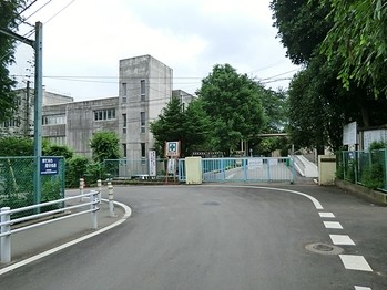 apartment 千葉県柏市南柏中央６－３Ｓ５０９ＫＩＮＧ２０５／１０５