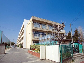 apartment 千葉県柏市南柏中央６－３Ｓ５０９ＫＩＮＧ２０５／１０５