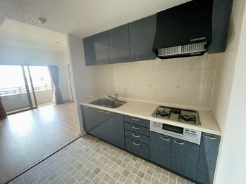 apartment 千葉県柏市南柏中央６－３Ｓ５０９ＫＩＮＧ２０５／１０５