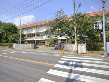 apartment 千葉県柏市南柏中央６－３Ｓ５０９ＫＩＮＧ２０５／１０５