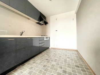 apartment 千葉県柏市南柏中央６－３Ｓ５０９ＫＩＮＧ２０５／１０５