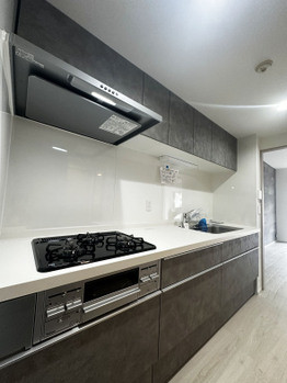 apartment 埼玉県越谷市蒲生寿町
地図を見る