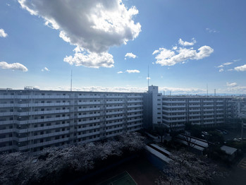 apartment 埼玉県越谷市赤山町４丁目
地図を見る