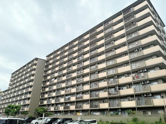 apartment 大阪府三島郡島本町山崎３丁目
地図を見る