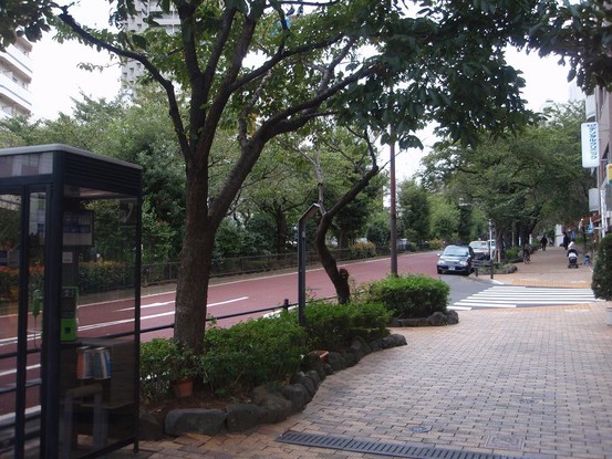 detached 東京都文京区小日向４丁目
地図を見る
