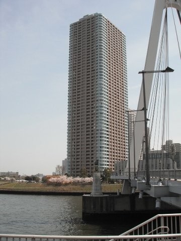 apartment 東京都中央区佃２丁目
地図を見る