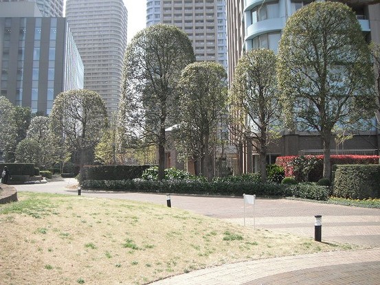 apartment 東京都中央区佃２丁目
地図を見る