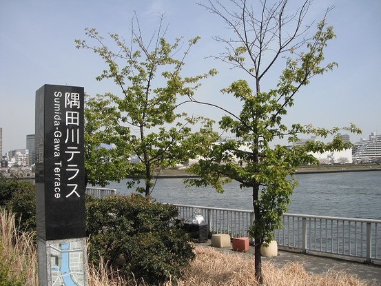 apartment 東京都中央区佃２丁目
地図を見る