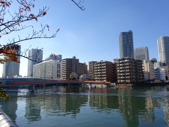 apartment 東京都中央区晴海１丁目
地図を見る