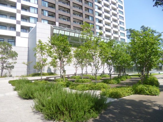 apartment 東京都江東区有明１丁目
地図を見る