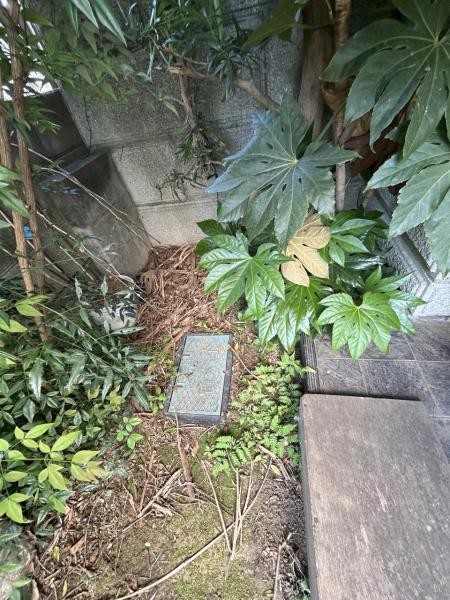 detached 千葉県野田市花井
地図を見る