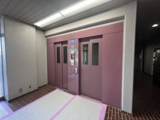 apartment 群馬県高崎市小八木町810番地5