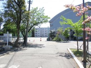 apartment 新潟県上越市本町６丁目
地図を見る