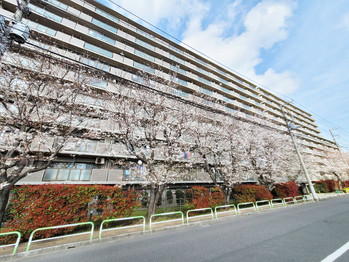 apartment 千葉県船橋市本町２丁目10-14 いちご船橋ビル6階