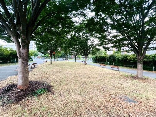 apartment 東京都西東京市ひばりが丘３丁目
地図を見る