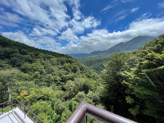 detached 神奈川県足柄下郡箱根町仙石原
地図を見る