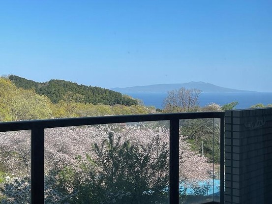 apartment 静岡県伊東市富戸
地図を見る