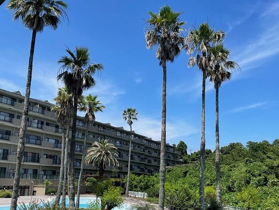 apartment 静岡県伊東市富戸
地図を見る