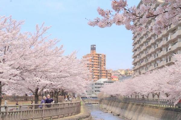 apartment 神奈川県海老名市上今泉６丁目
地図を見る