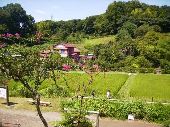 detached 神奈川県座間市入谷西５丁目
地図を見る