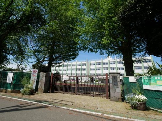 apartment 神奈川県大和市大和南２丁目2-6