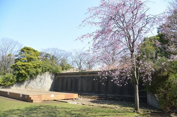 apartment 神奈川県藤沢市鵠沼石上１丁目6-1　エスタ藤沢