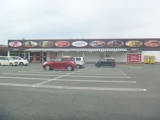 detached 福岡県大牟田市大字岩本2417-1-201