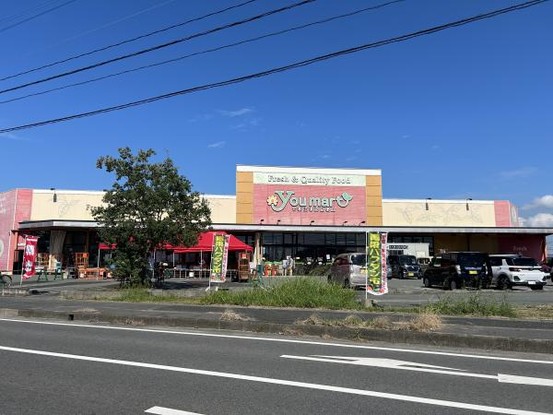 detached 福岡県大牟田市大字岩本2417-1-201