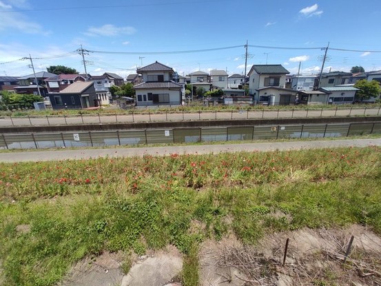 detached 埼玉県上尾市谷津２丁目２番１号ショーサンプラザ５Ｆ