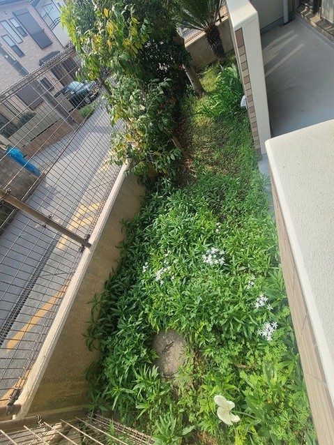 apartment 埼玉県上尾市谷津２丁目２番１号ショーサンプラザ５Ｆ