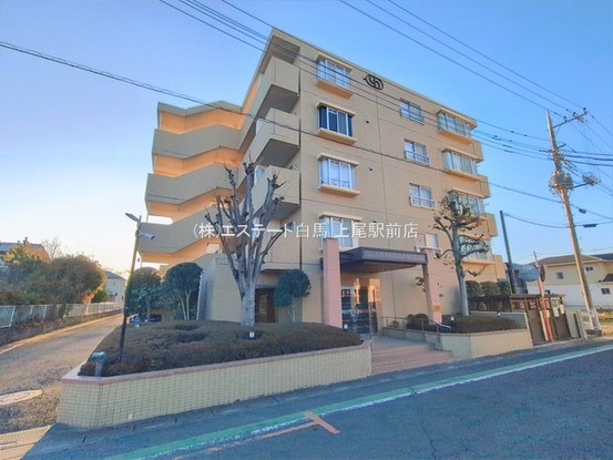 apartment 埼玉県上尾市谷津２丁目２番１号ショーサンプラザ５Ｆ