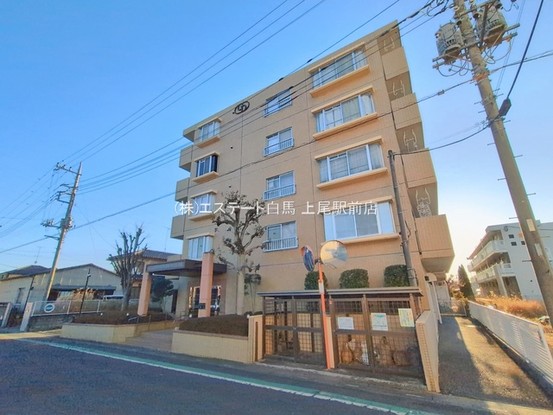 apartment 埼玉県上尾市谷津２丁目２番１号ショーサンプラザ５Ｆ