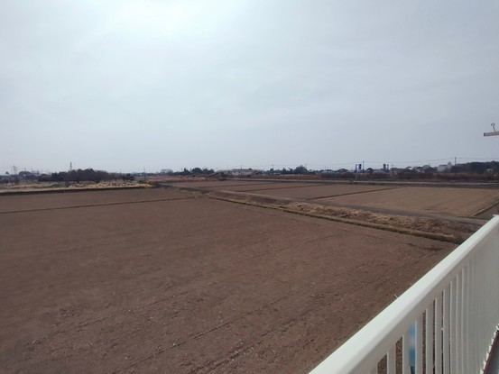 detached 埼玉県上尾市谷津２丁目２番１号ショーサンプラザ５Ｆ