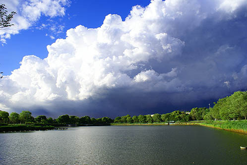 apartment 埼玉県上尾市谷津２丁目２番１号ショーサンプラザ５Ｆ