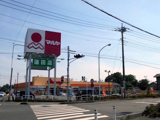 detached 埼玉県上尾市谷津２丁目２番１号ショーサンプラザ５Ｆ