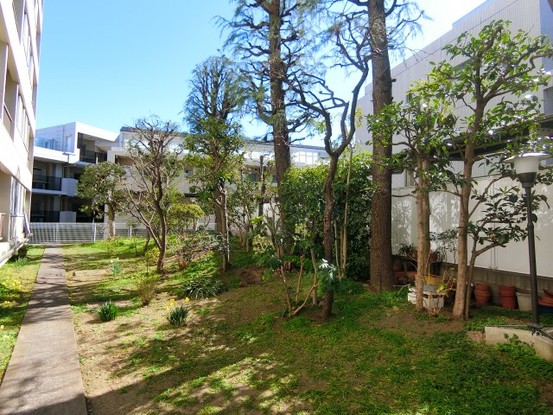 apartment 東京都渋谷区初台１丁目37-11