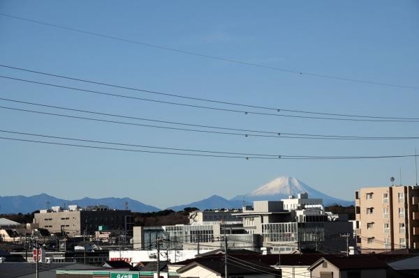apartment 埼玉県所沢市大字久米554-2　新井ビル　1F