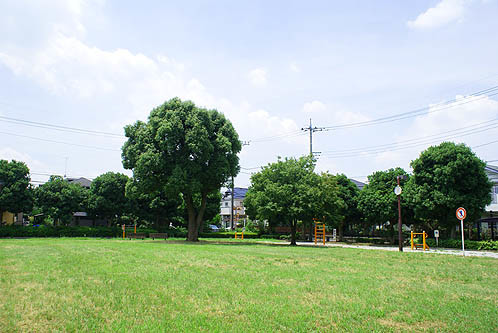 detached 埼玉県所沢市大字久米554-2　新井ビル　1F