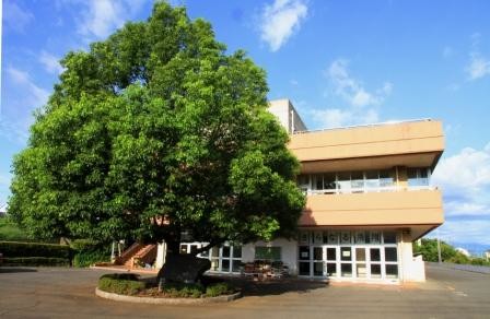 apartment 埼玉県所沢市大字久米554-2　新井ビル　1F