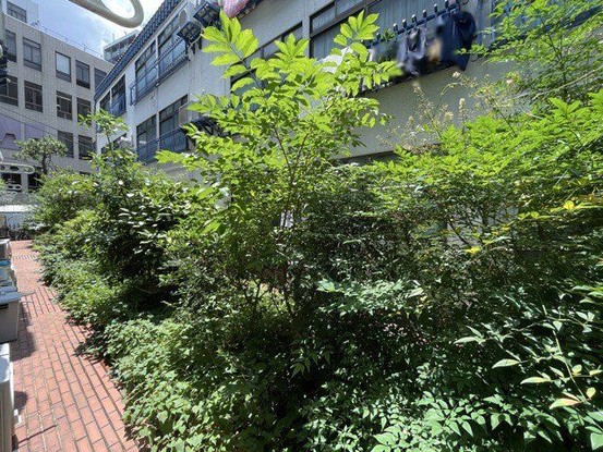 apartment 東京都渋谷区神宮前４丁目11-6　表参道千代田ビル7F