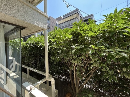apartment 東京都渋谷区神宮前４丁目11-6　表参道千代田ビル7F