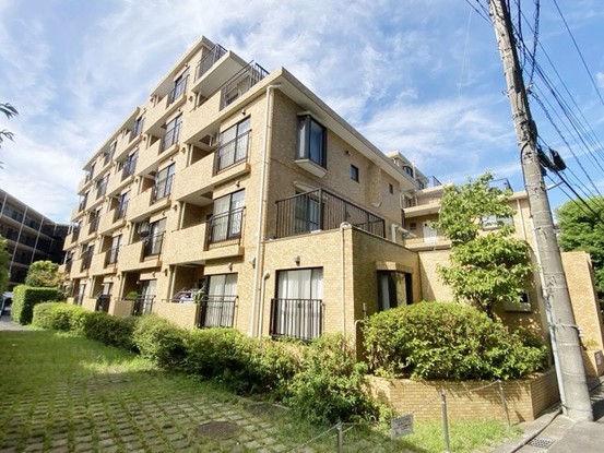 apartment 東京都渋谷区神宮前４丁目11-6　表参道千代田ビル7F