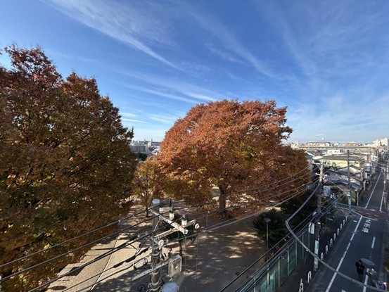 apartment 東京都渋谷区神宮前４丁目11-6　表参道千代田ビル7F