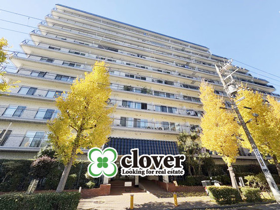 apartment 東京都渋谷区神宮前４丁目11-6　表参道千代田ビル7F