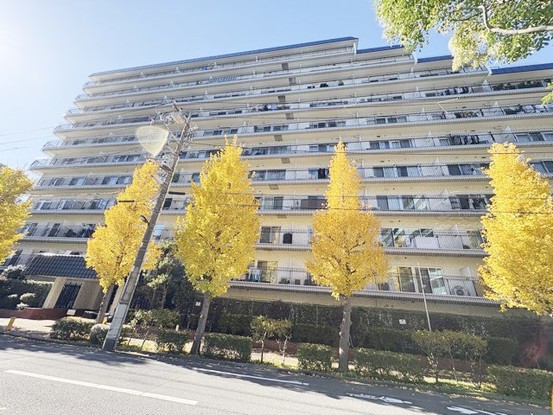 apartment 東京都渋谷区神宮前４丁目11-6　表参道千代田ビル7F