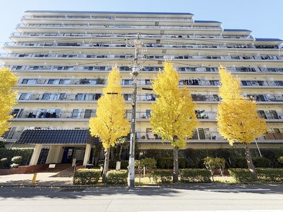 apartment 東京都渋谷区神宮前４丁目11-6　表参道千代田ビル7F