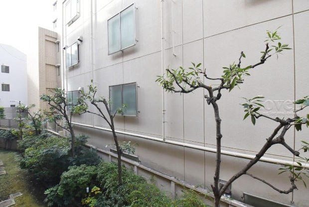 apartment 東京都渋谷区神宮前４丁目11-6　表参道千代田ビル7F