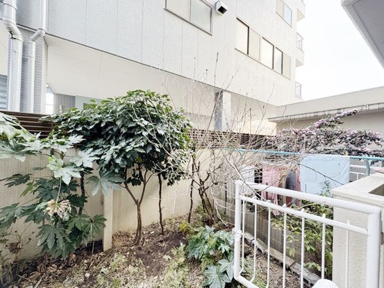 apartment 東京都渋谷区神宮前４丁目11-6　表参道千代田ビル7F