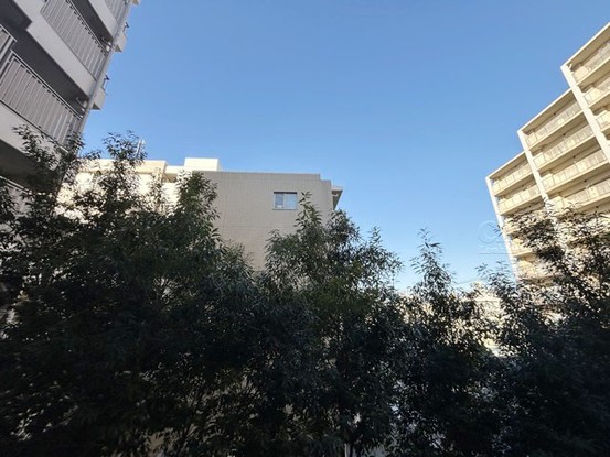 apartment 東京都渋谷区神宮前４丁目11-6　表参道千代田ビル7F